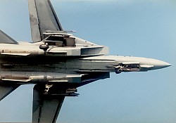 F-14 トムキャット　TOMCAT